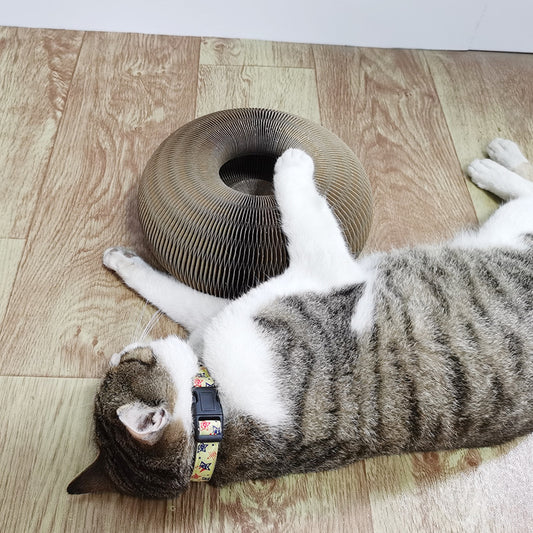Magic Cat Scratchers 2 In 1 Funny Shaped